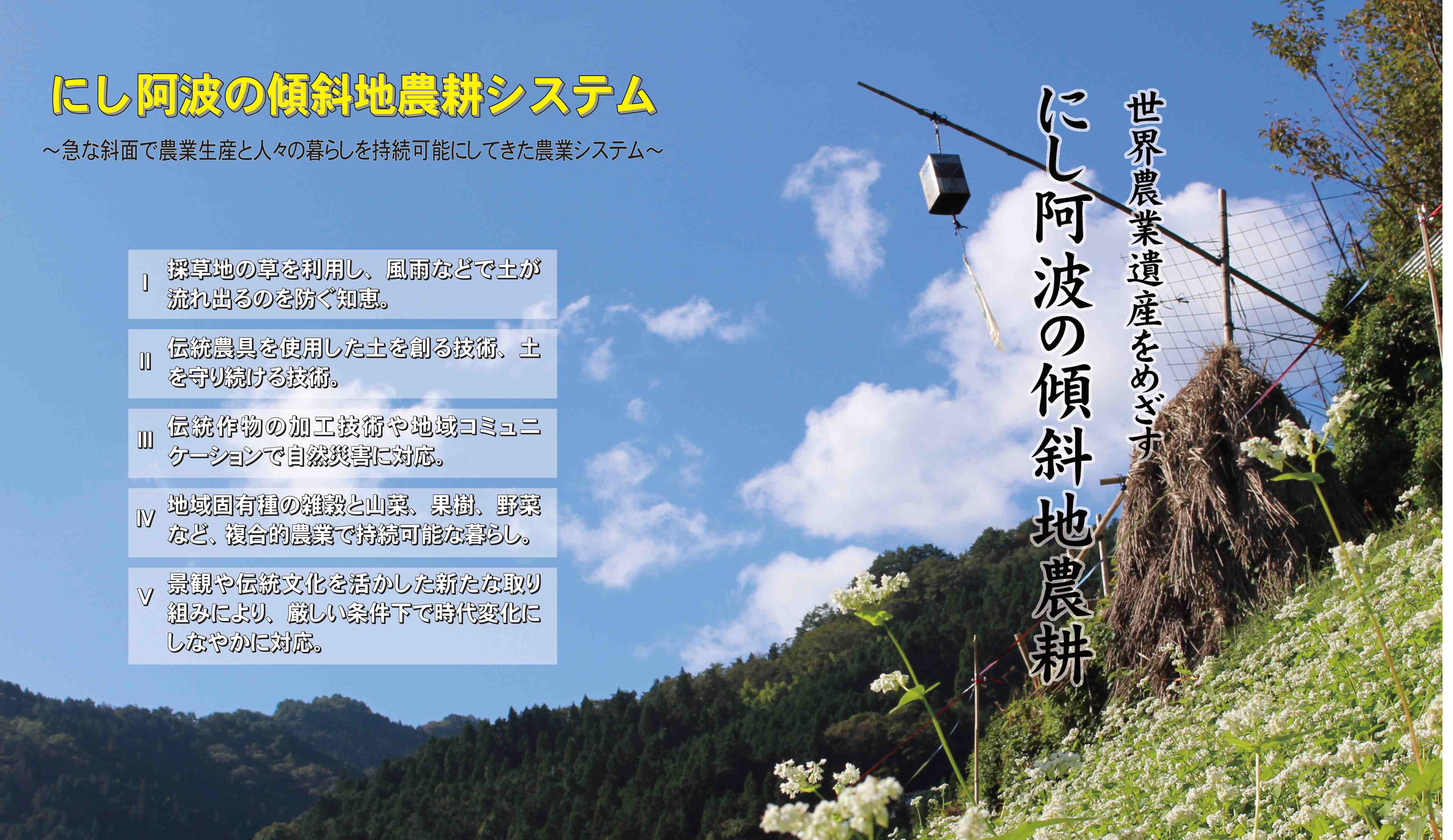 にし阿波の傾斜地農耕システムが『日本農業遺産』に認定地域に決定
