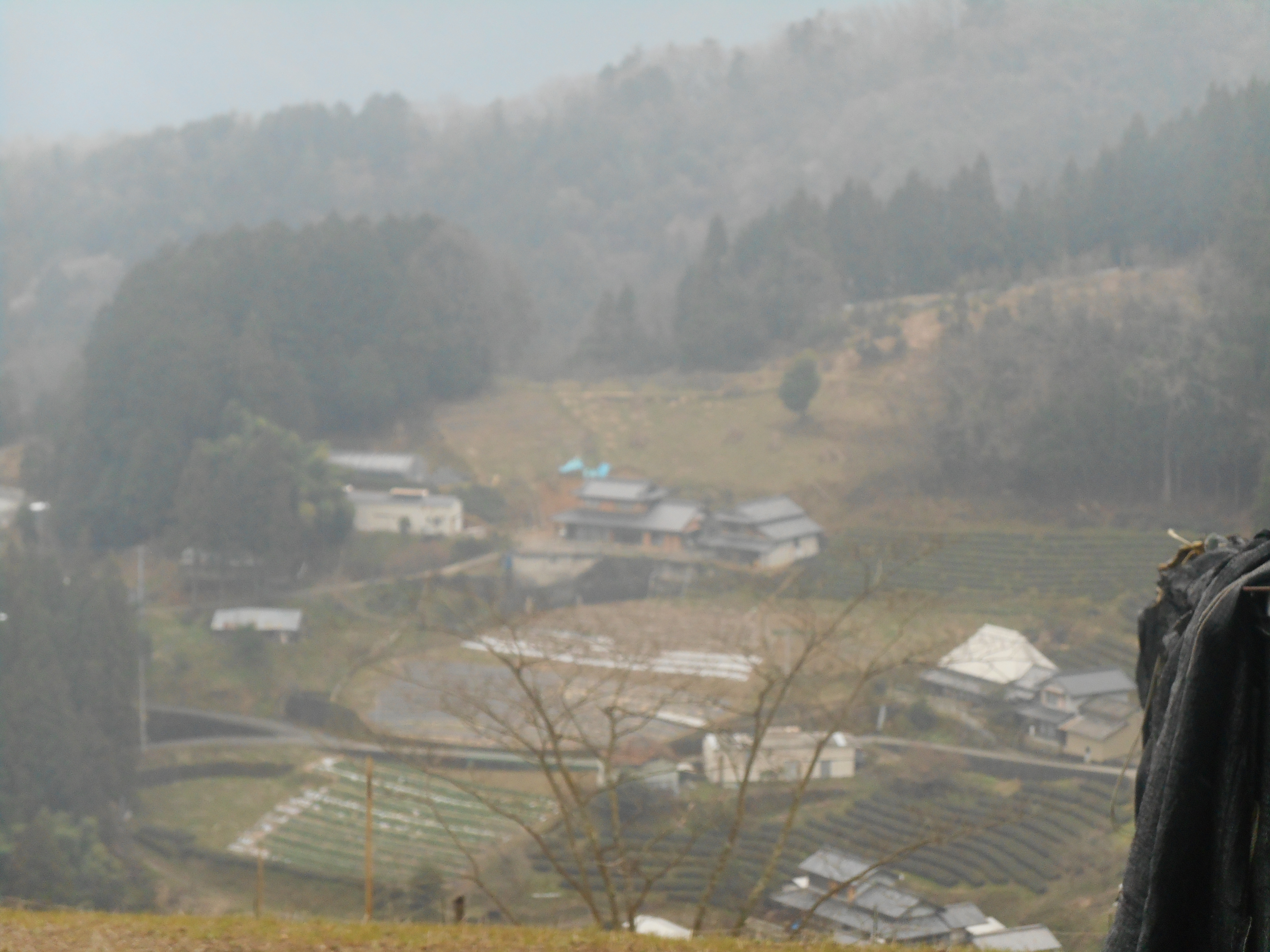 DSCN1192 - にし阿波の傾斜地農耕システムが『日本農業遺産』に認定地域に決定