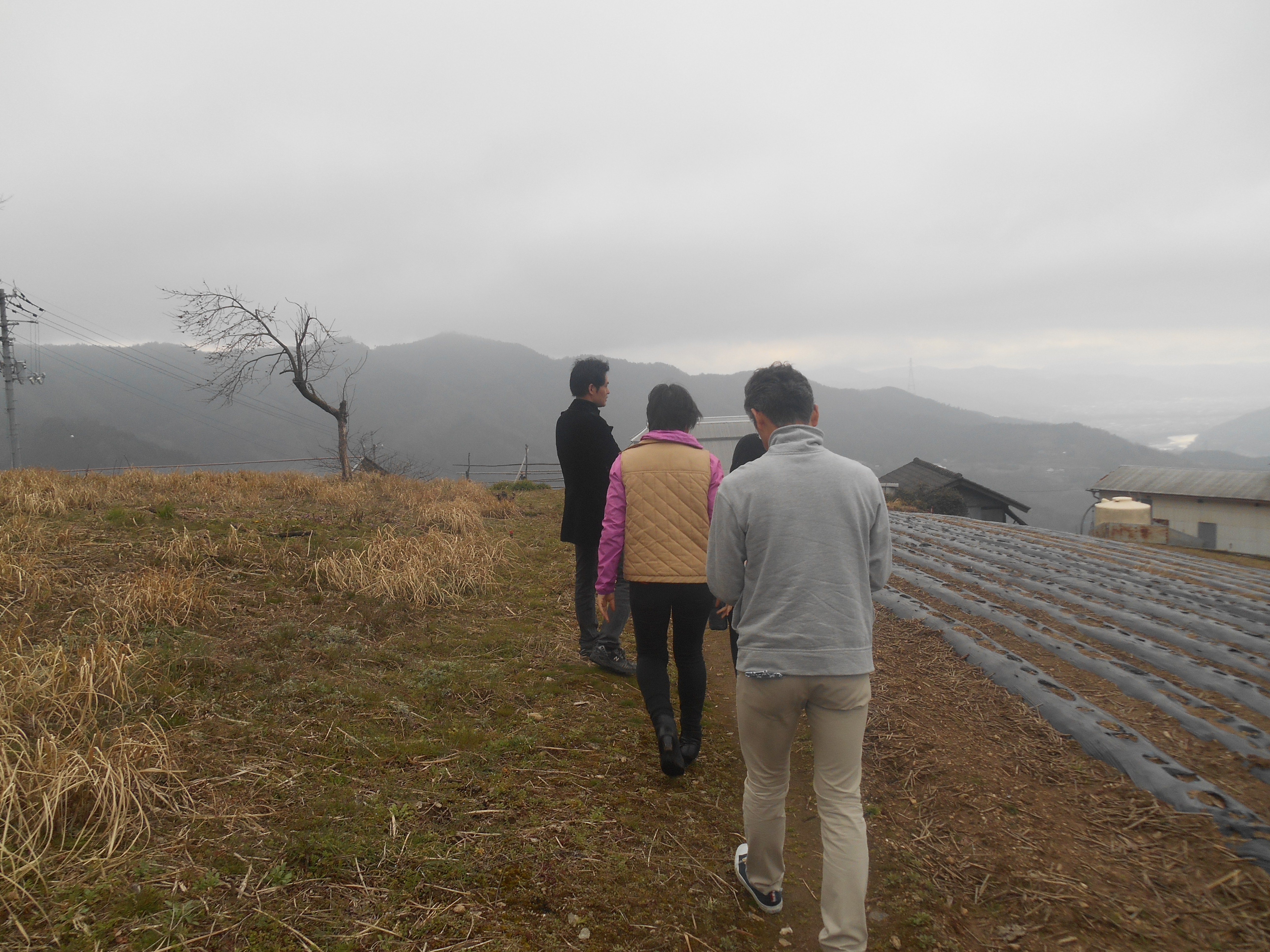 DSCN1193 - にし阿波の傾斜地農耕システムが『日本農業遺産』に認定地域に決定