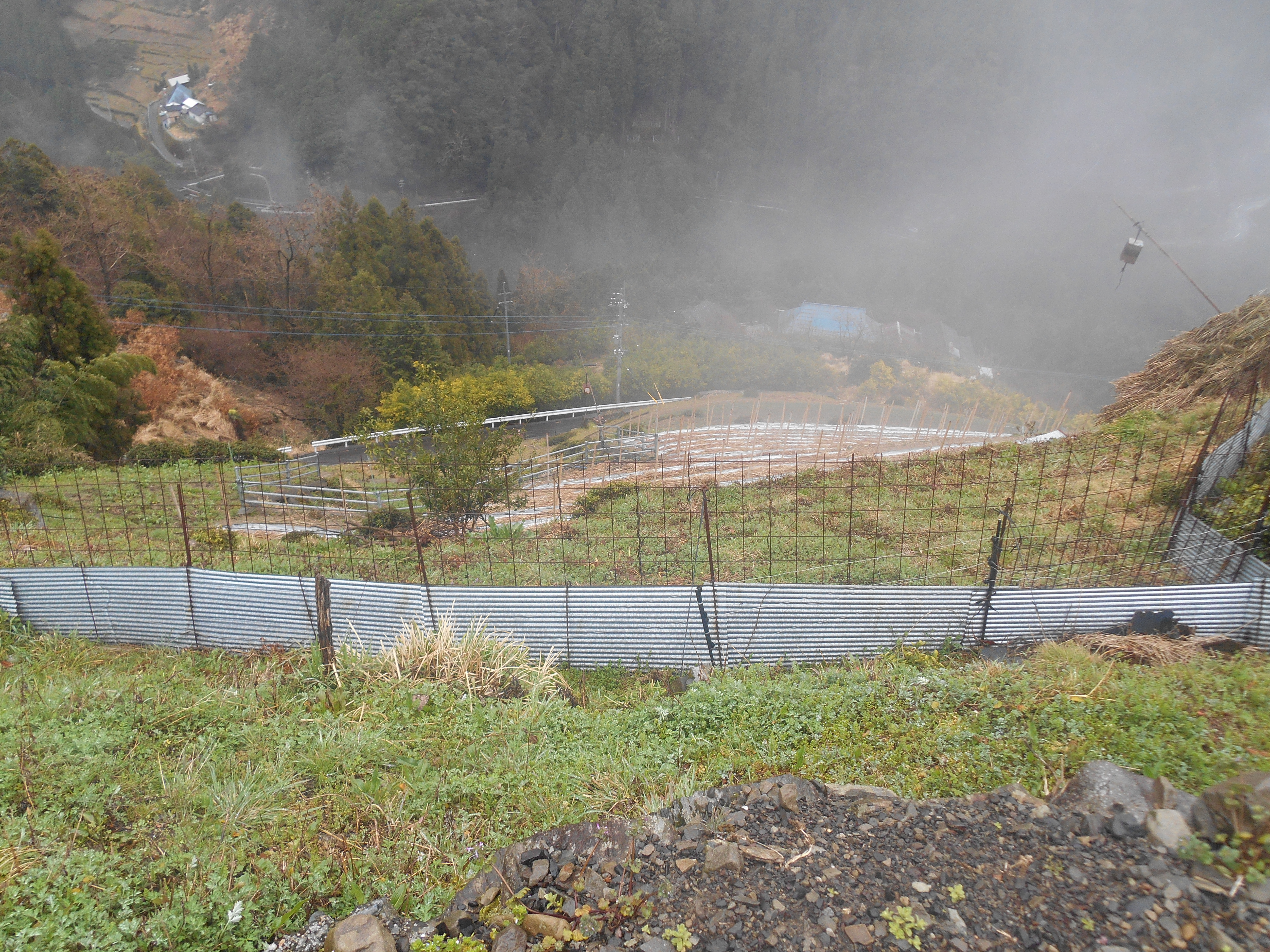 DSCN1209 - にし阿波の傾斜地農耕システムが『日本農業遺産』に認定地域に決定