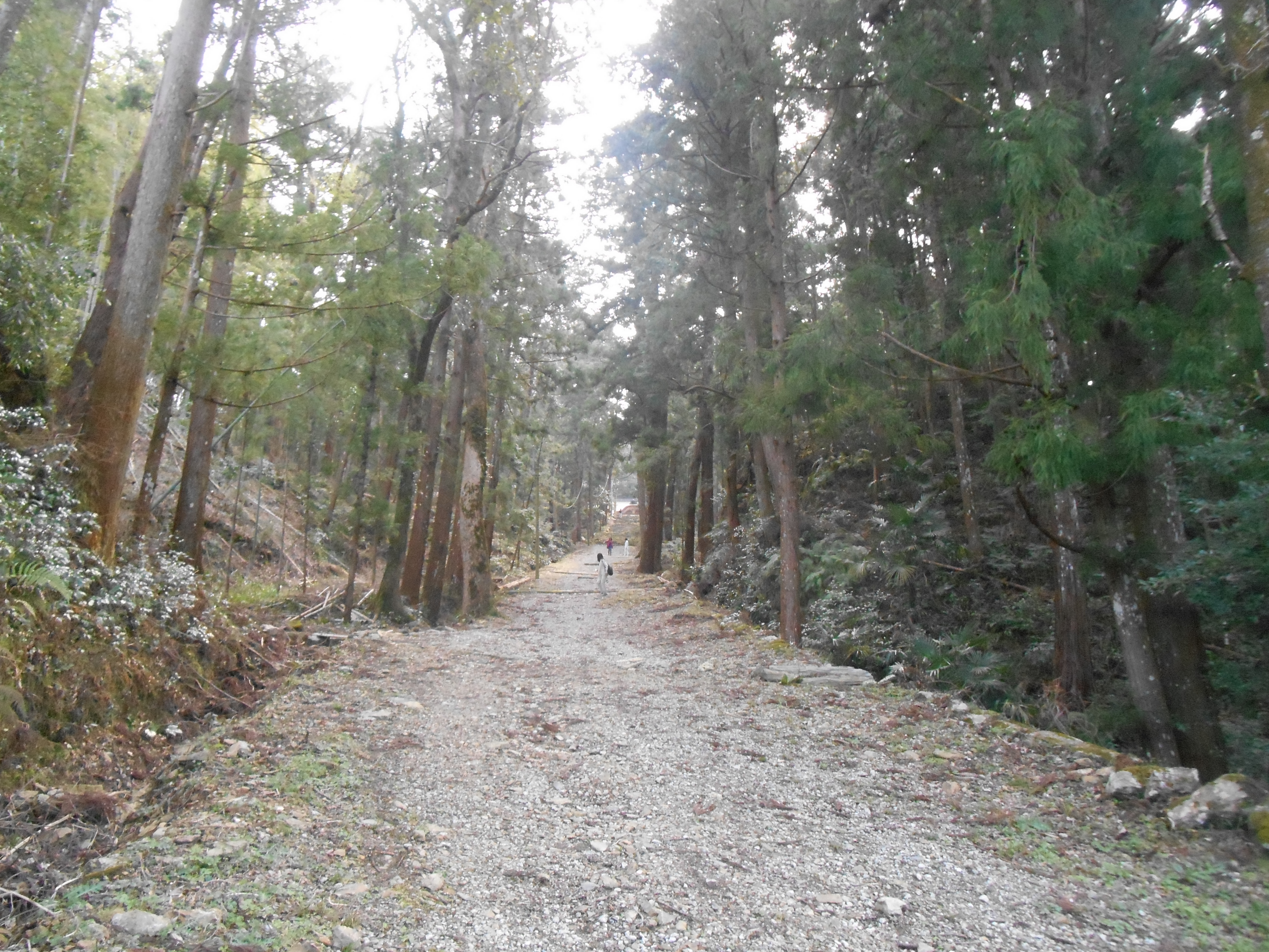 阿波忌部女神ツアー
