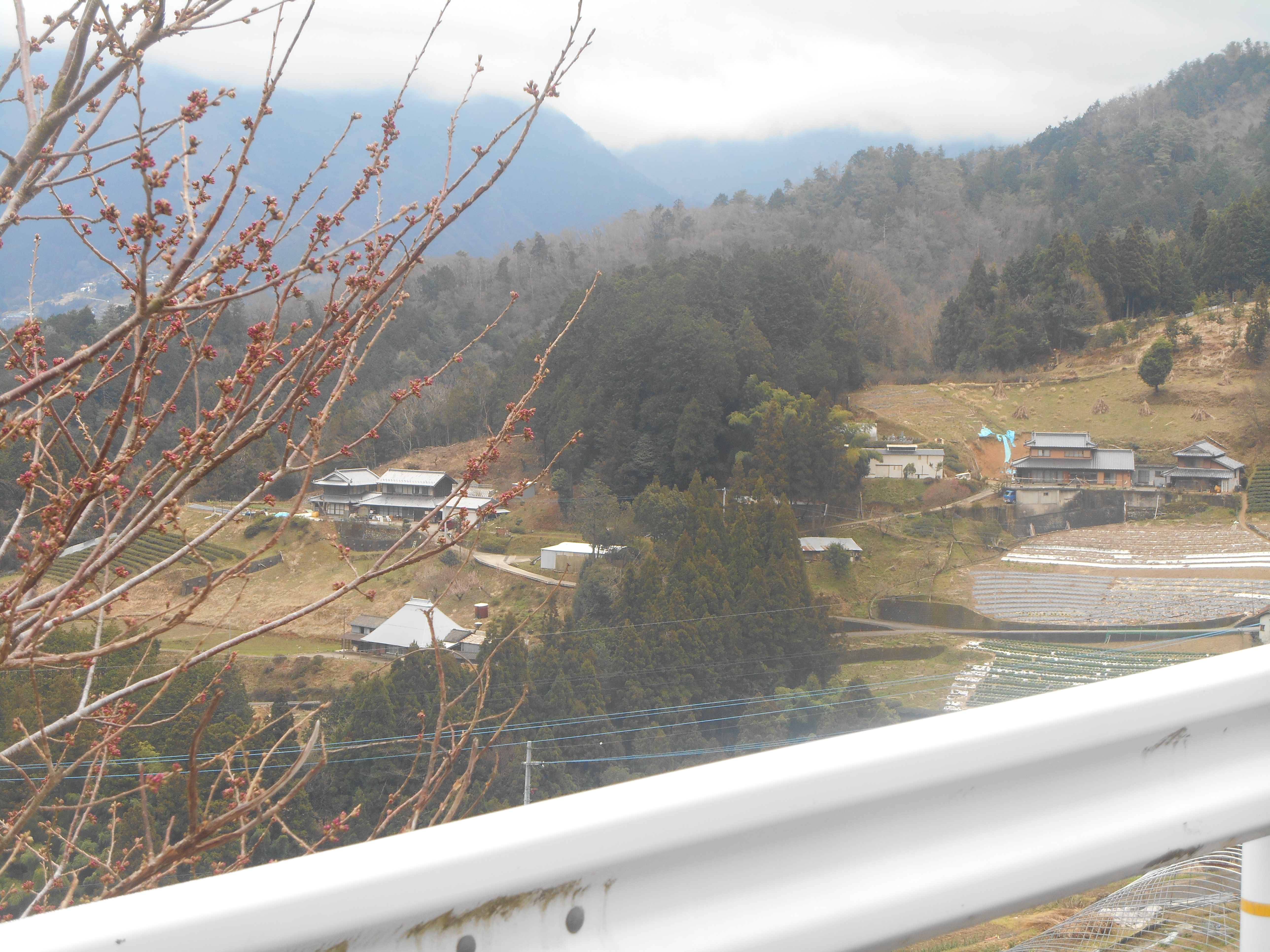 阿波忌部女神ツアー