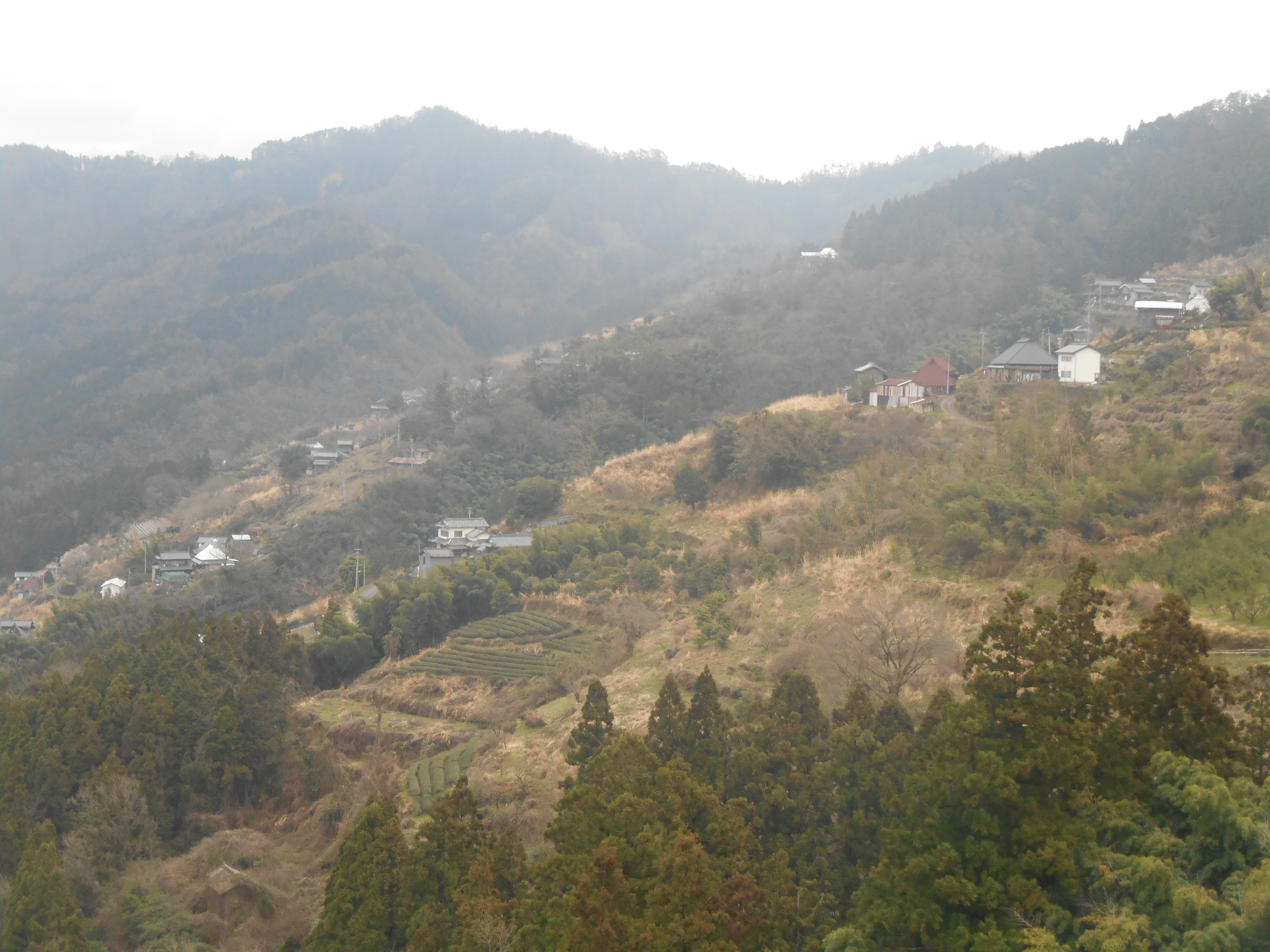 阿波忌部女神ツアー