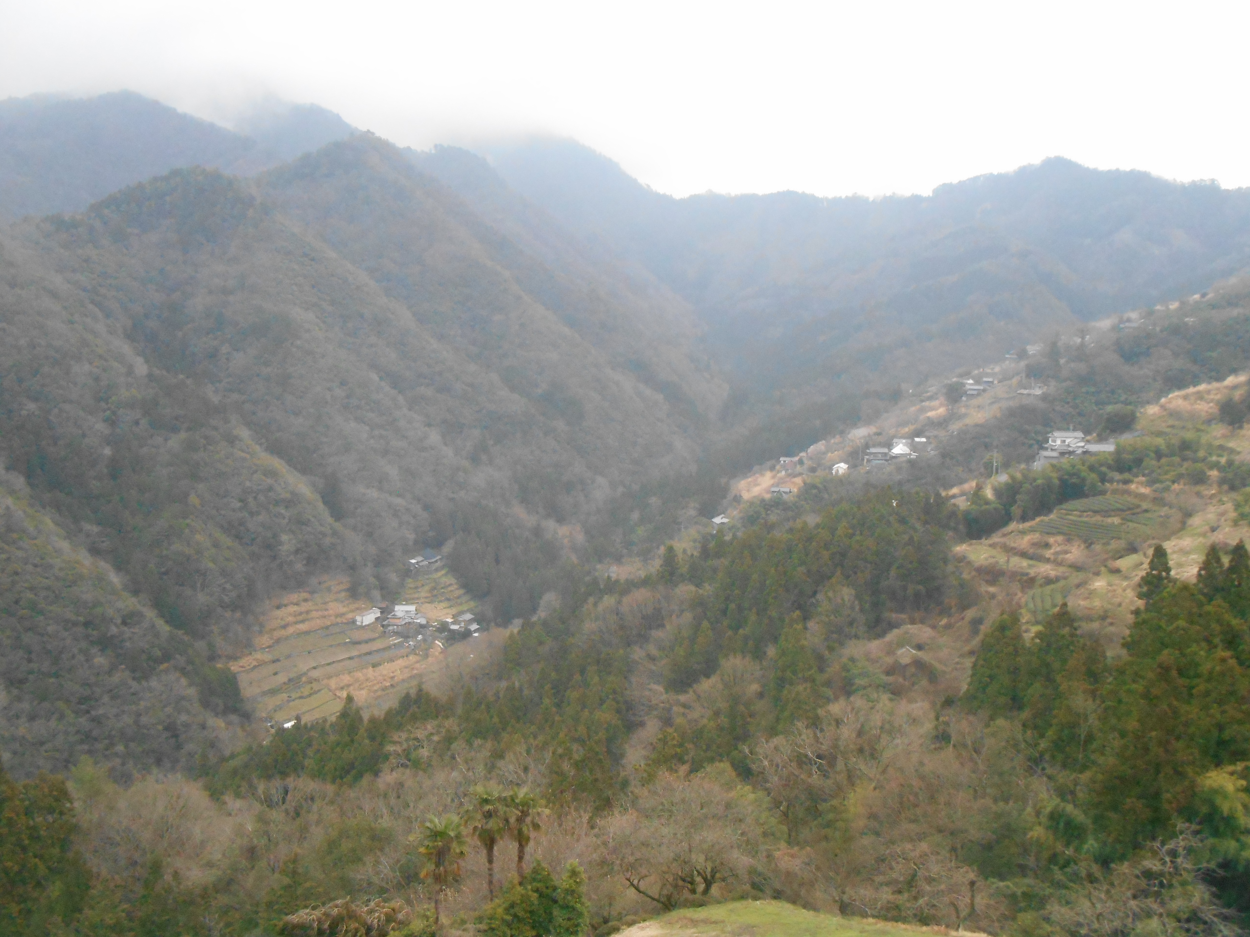阿波忌部女神ツアー