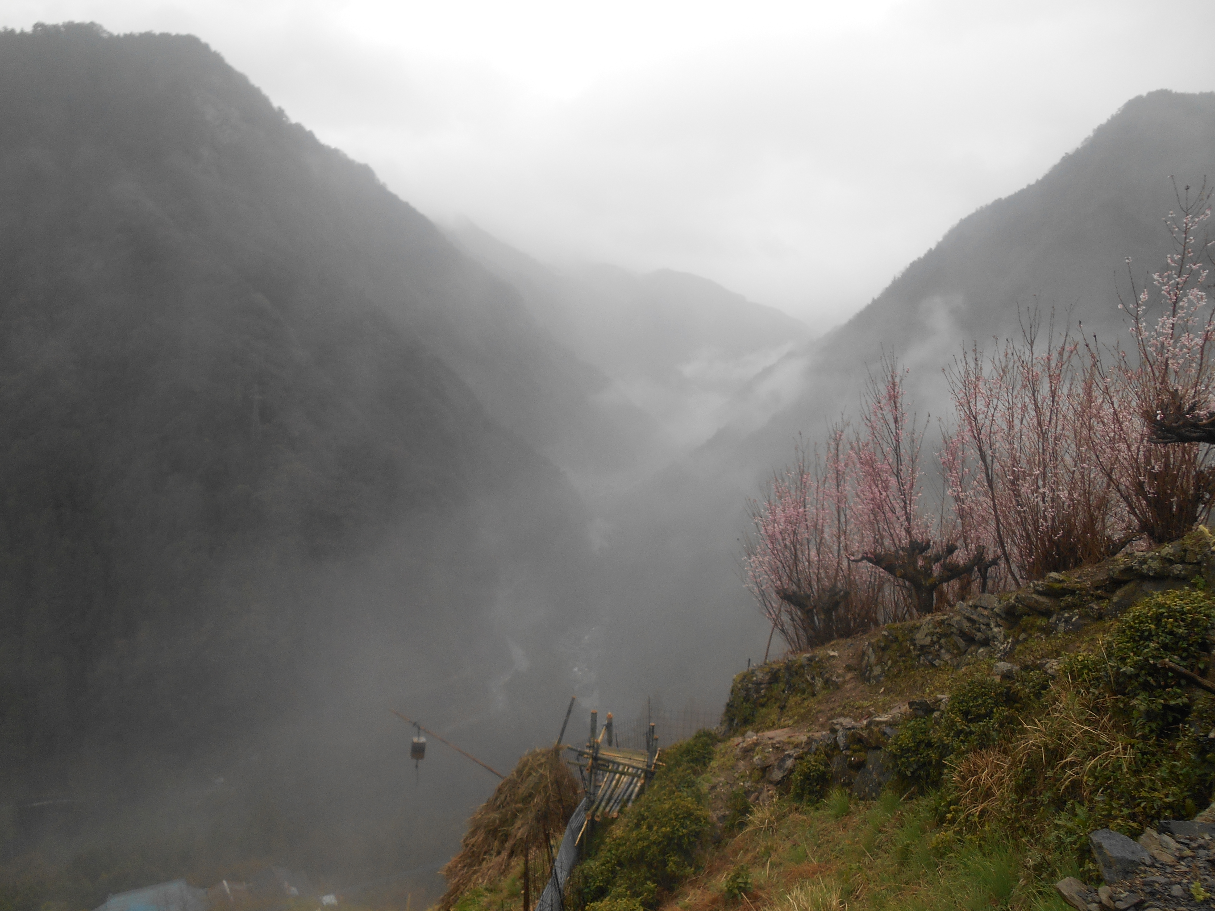 阿波忌部女神ツアー
