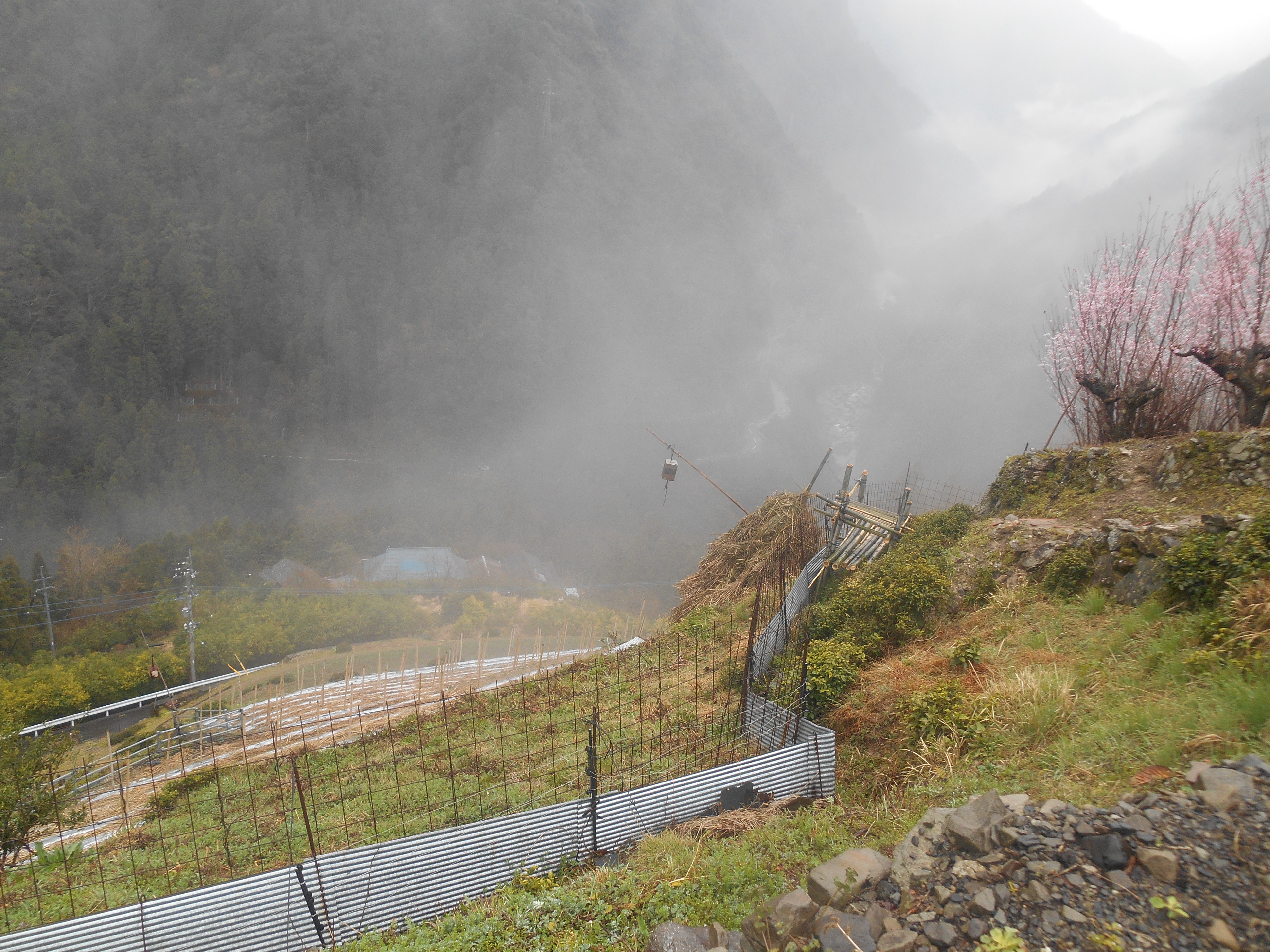 阿波忌部女神ツアー