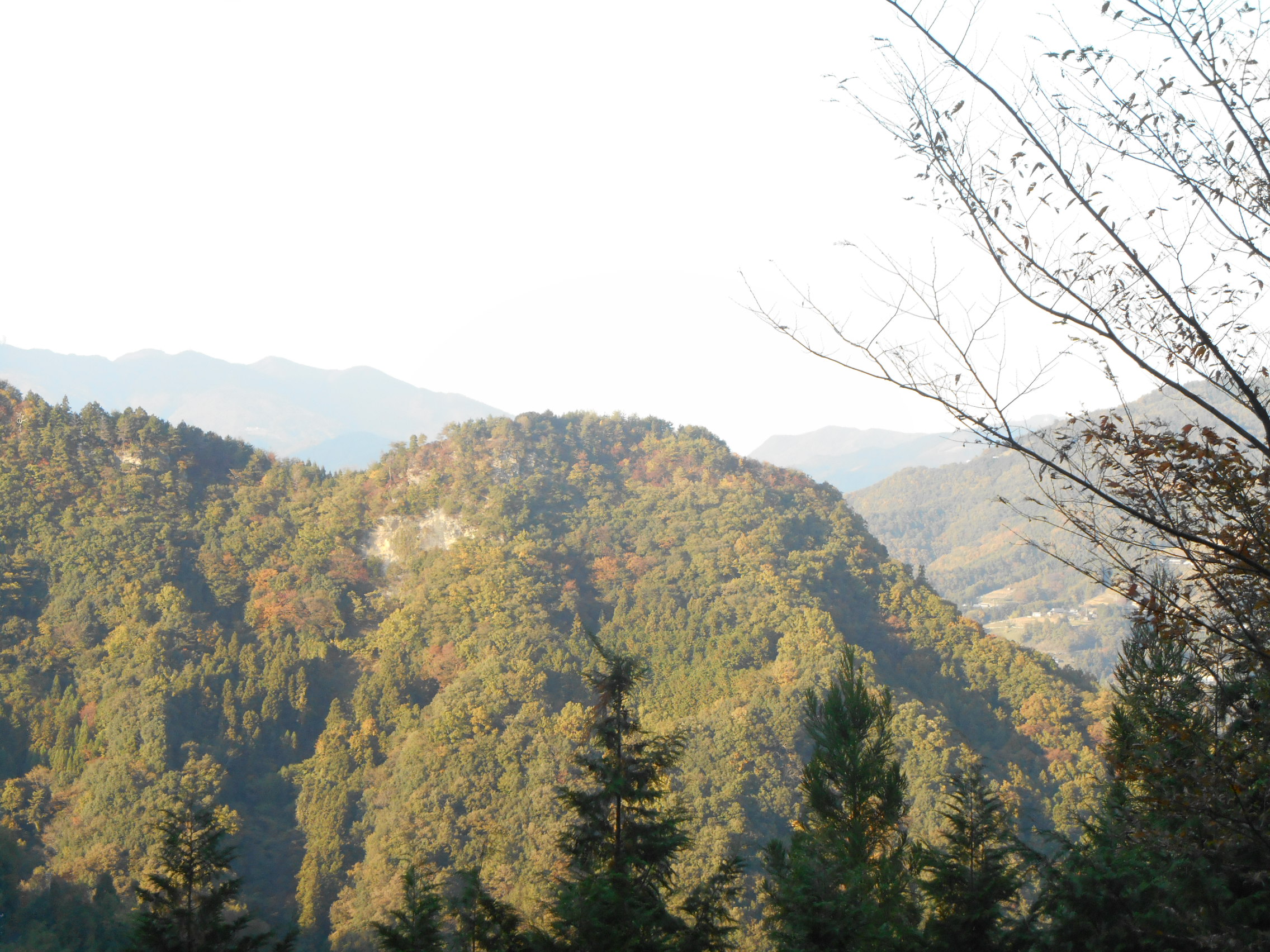 阿波忌部女神ツアー