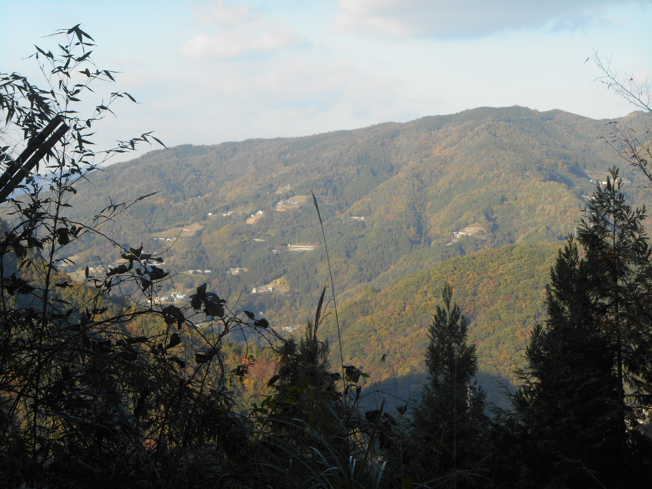阿波忌部女神ツアー