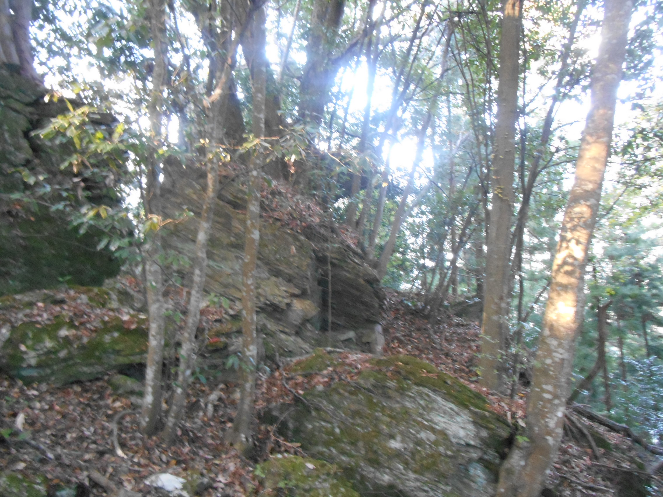 阿波忌部女神ツアー