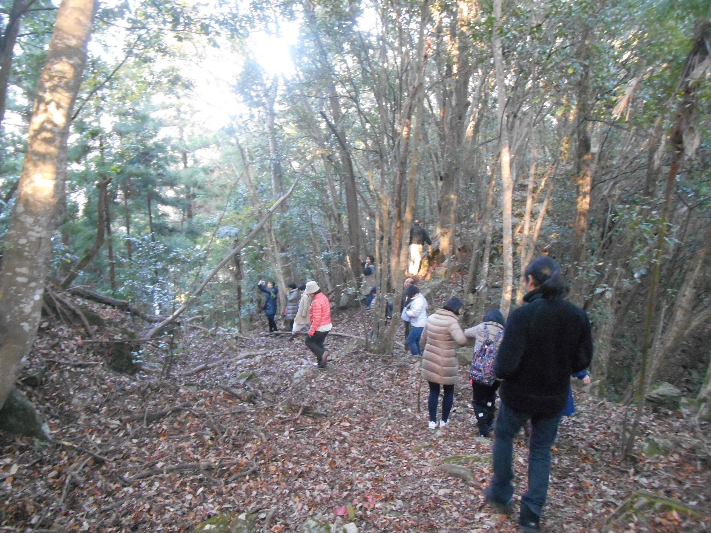 阿波忌部女神ツアー