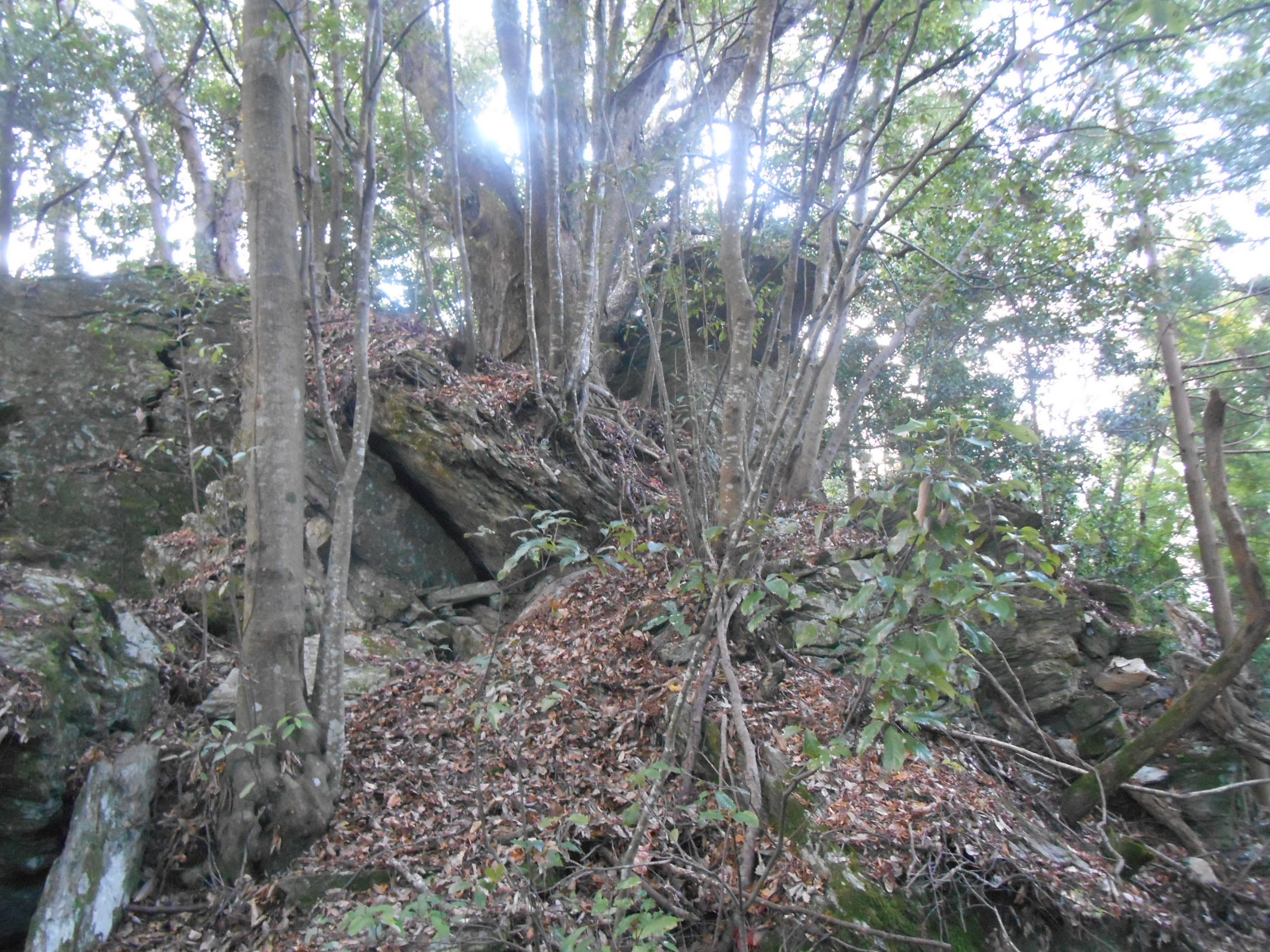 阿波忌部女神ツアー