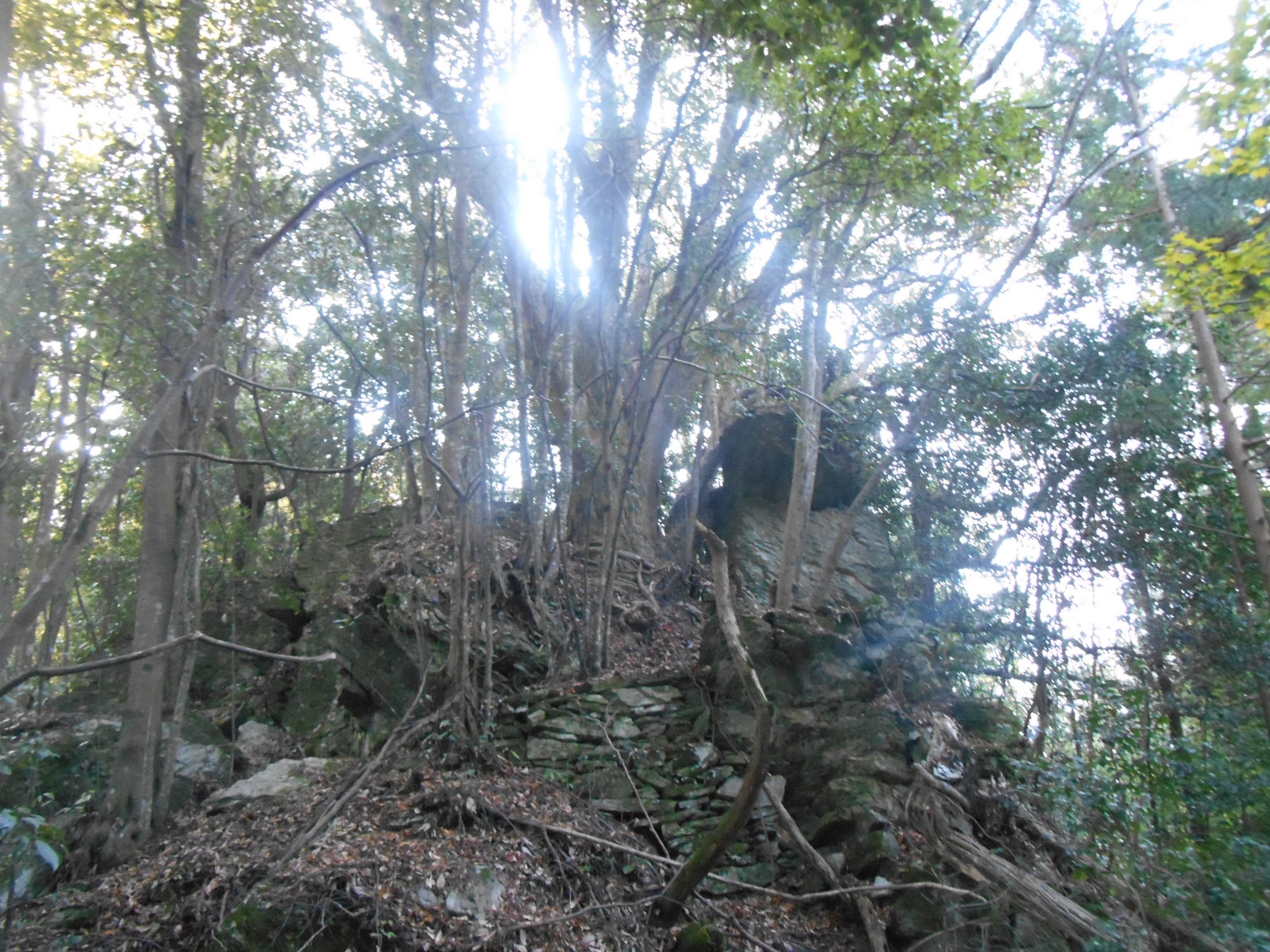 阿波忌部女神ツアー