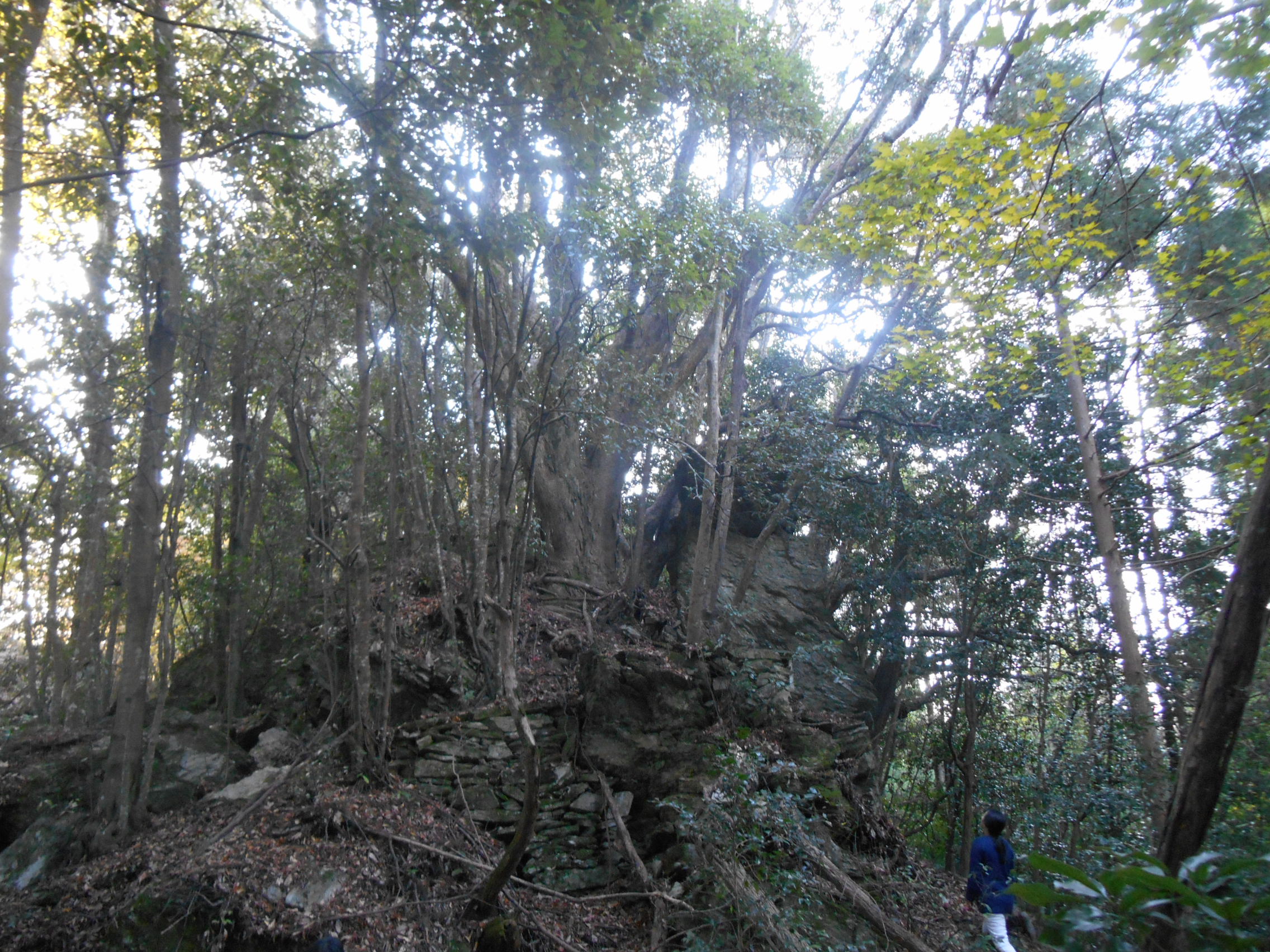 阿波忌部女神ツアー