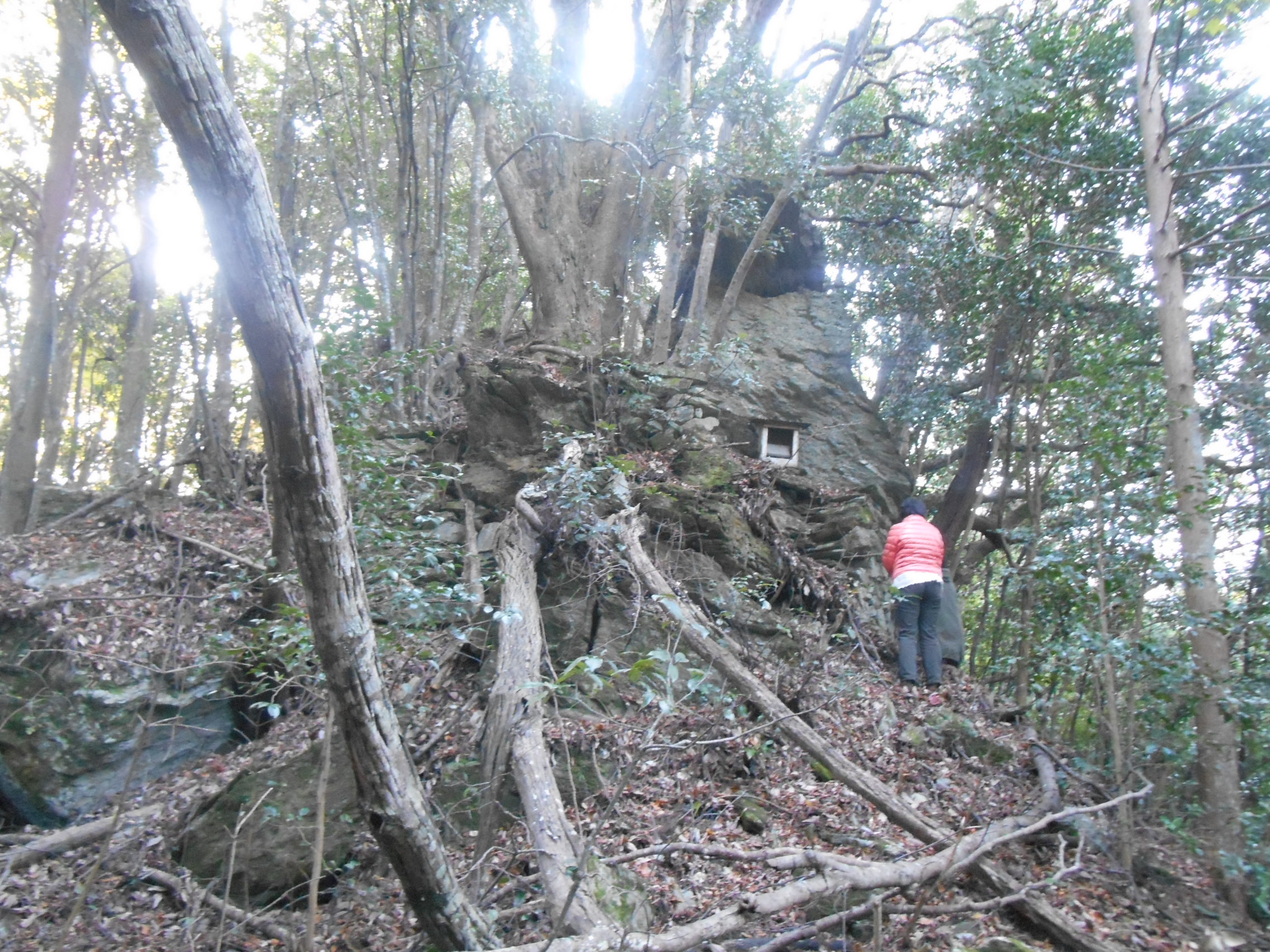 阿波忌部女神ツアー
