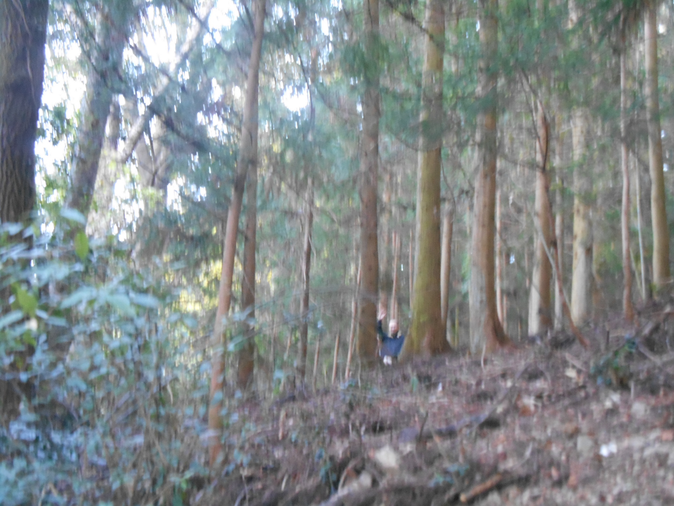 阿波忌部女神ツアー