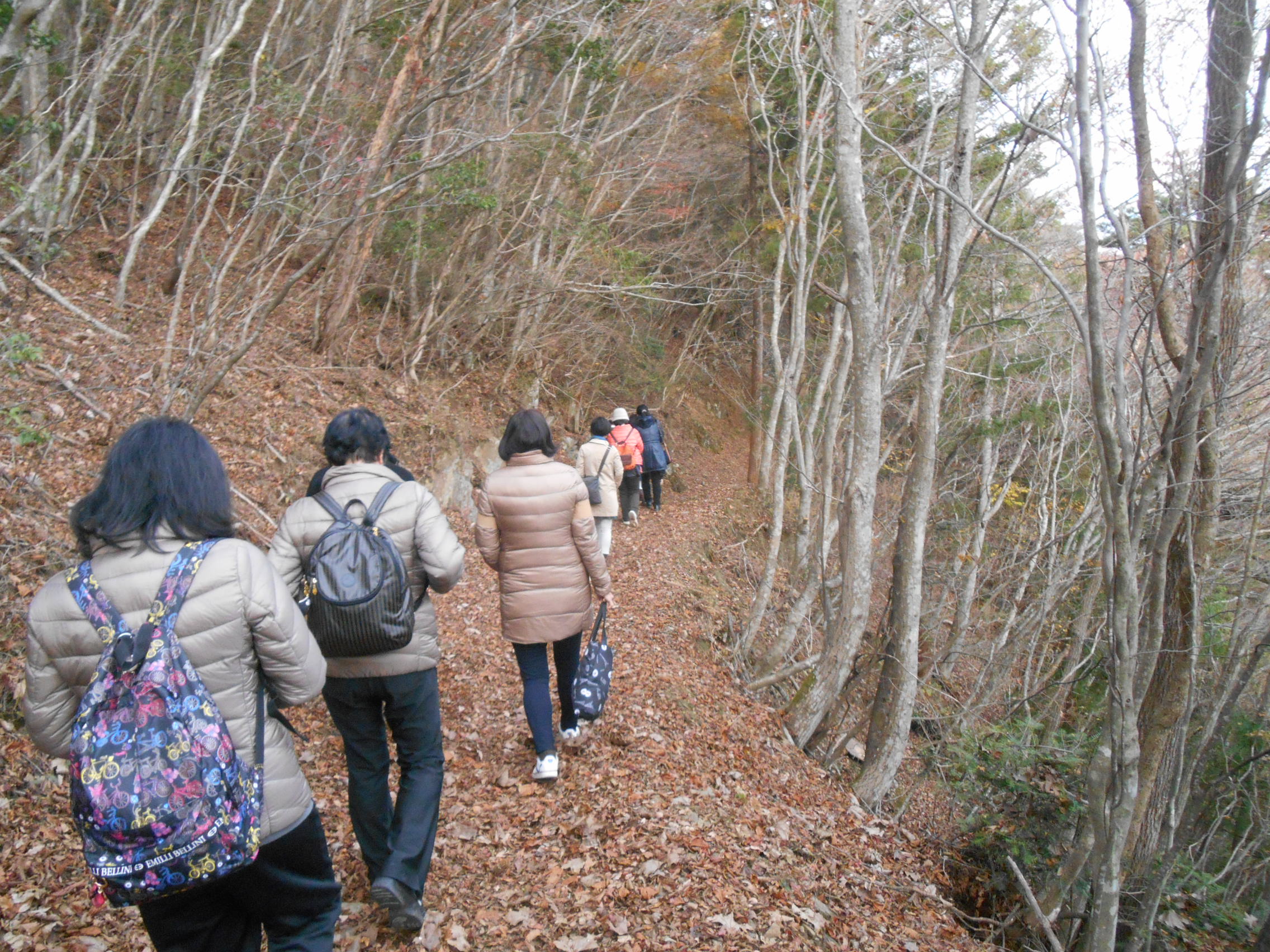 阿波忌部女神ツアー
