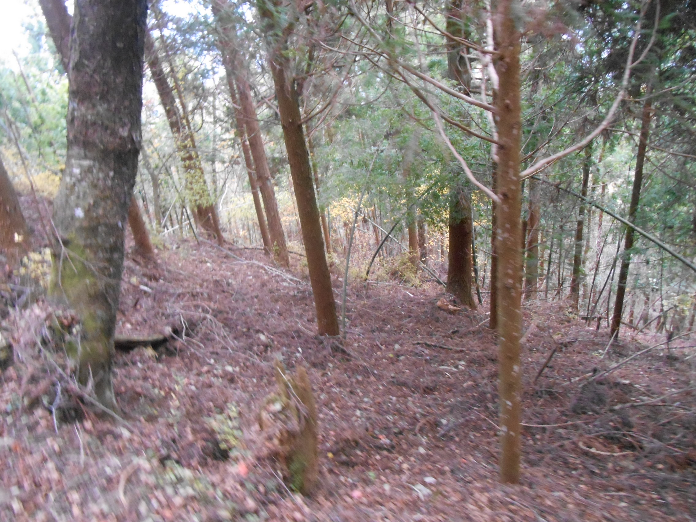 阿波忌部女神ツアー