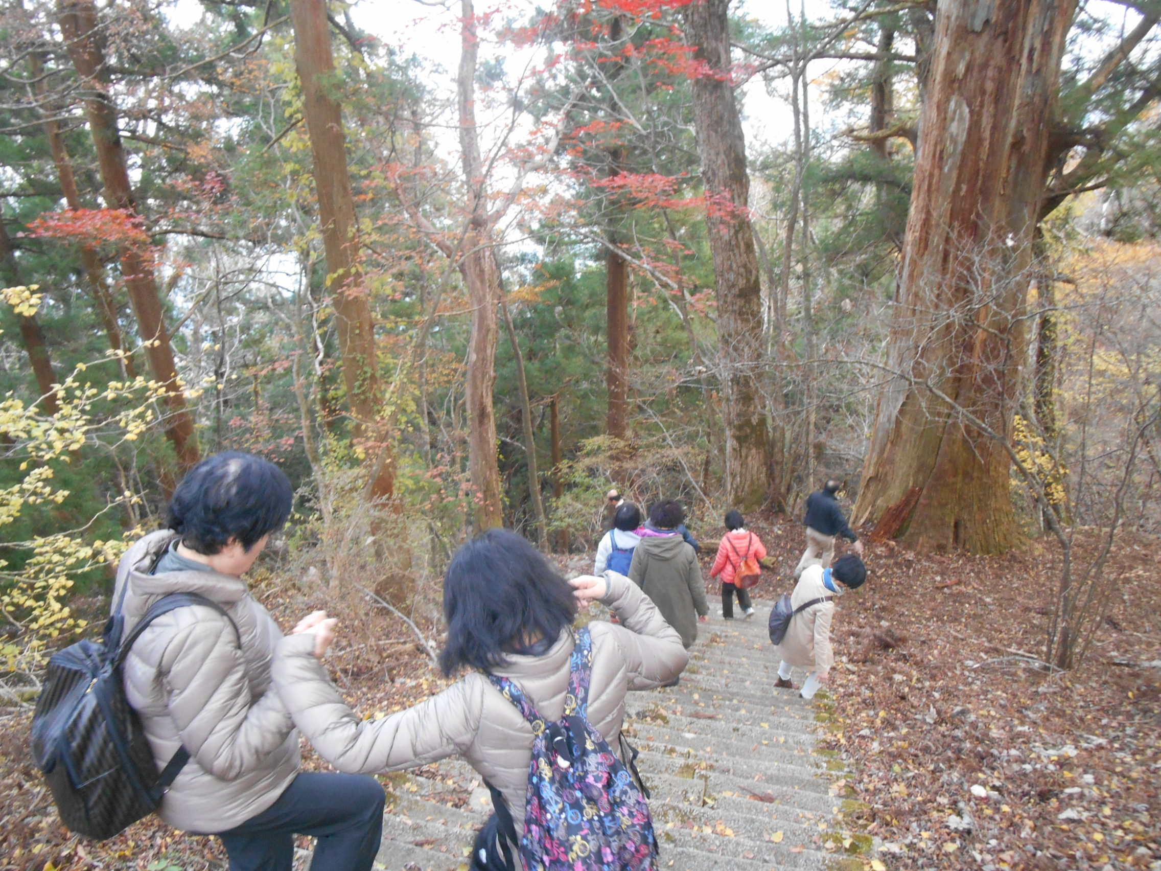 阿波忌部女神ツアー