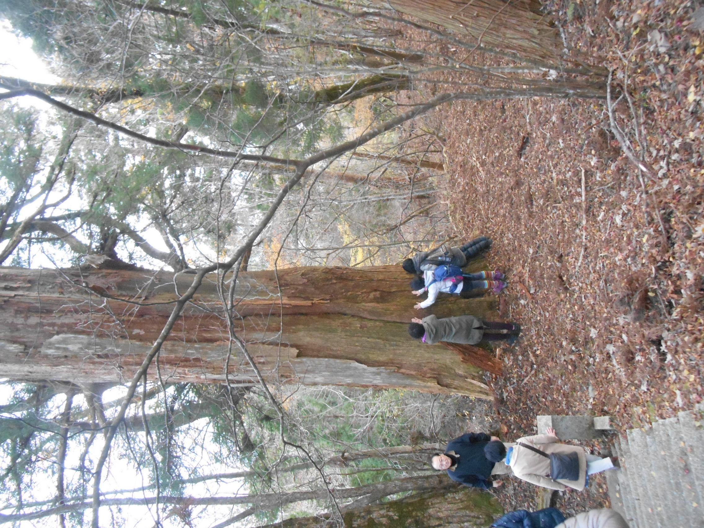 阿波忌部女神ツアー
