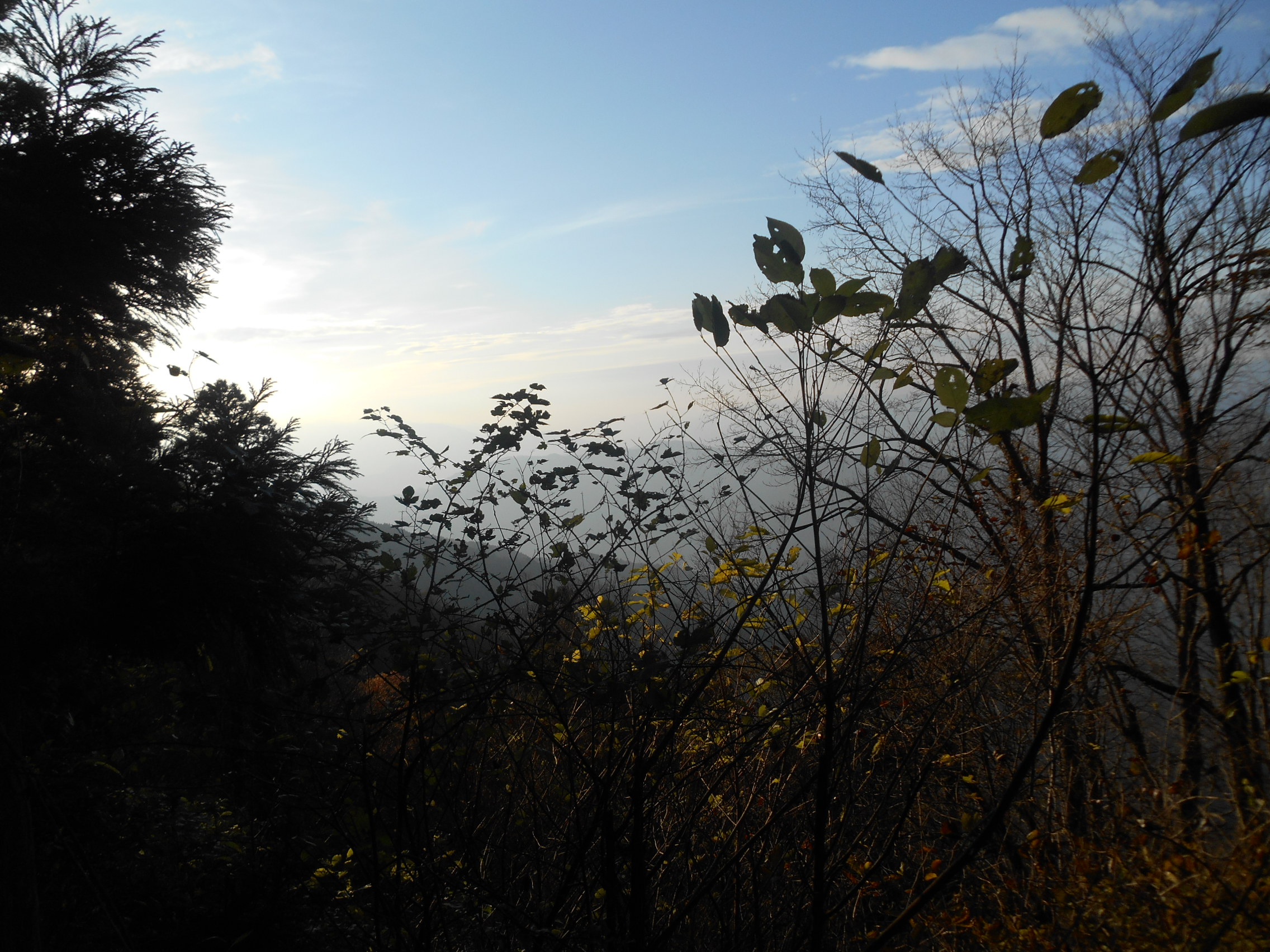 阿波忌部女神ツアー