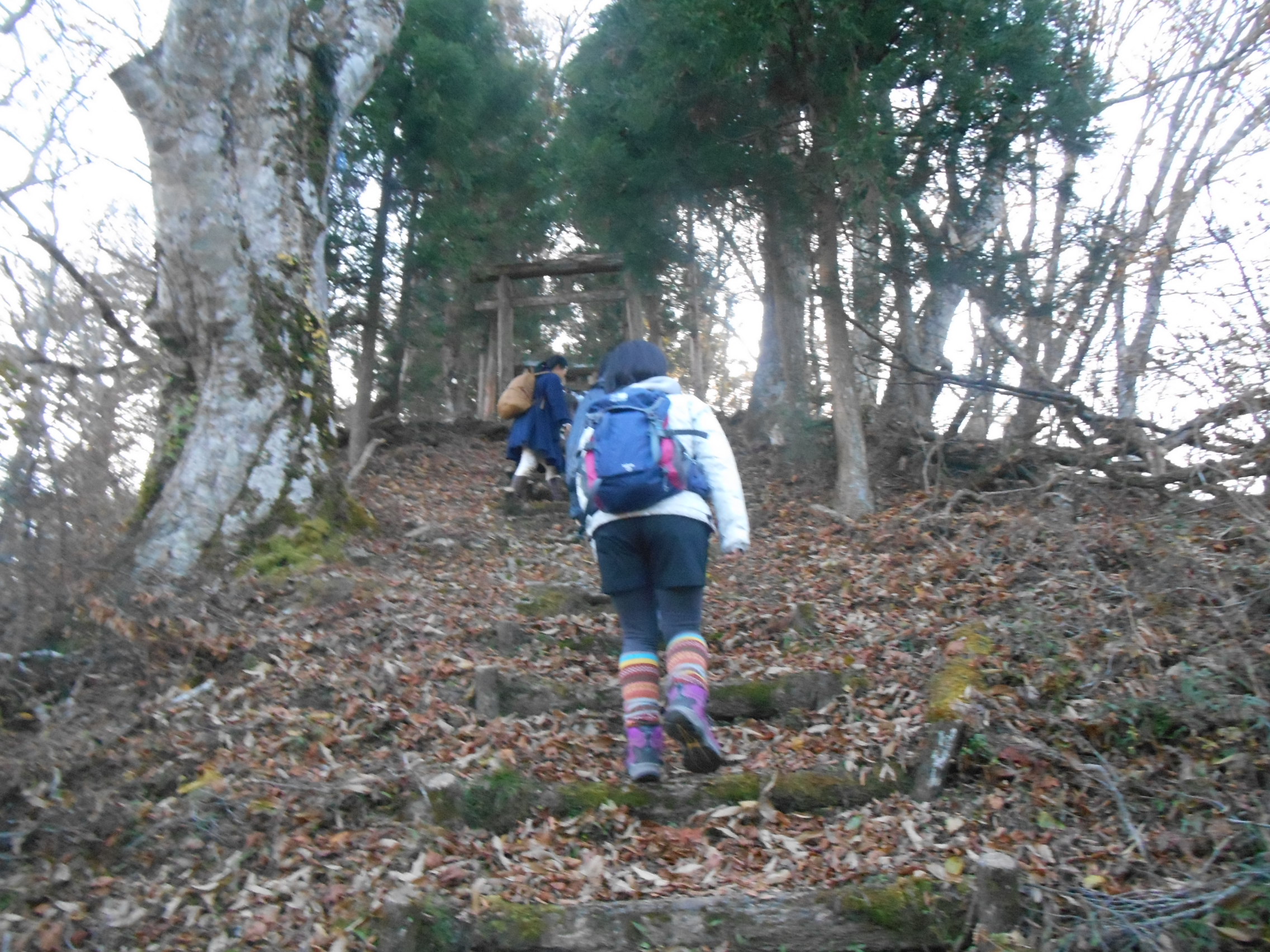 阿波忌部女神ツアー