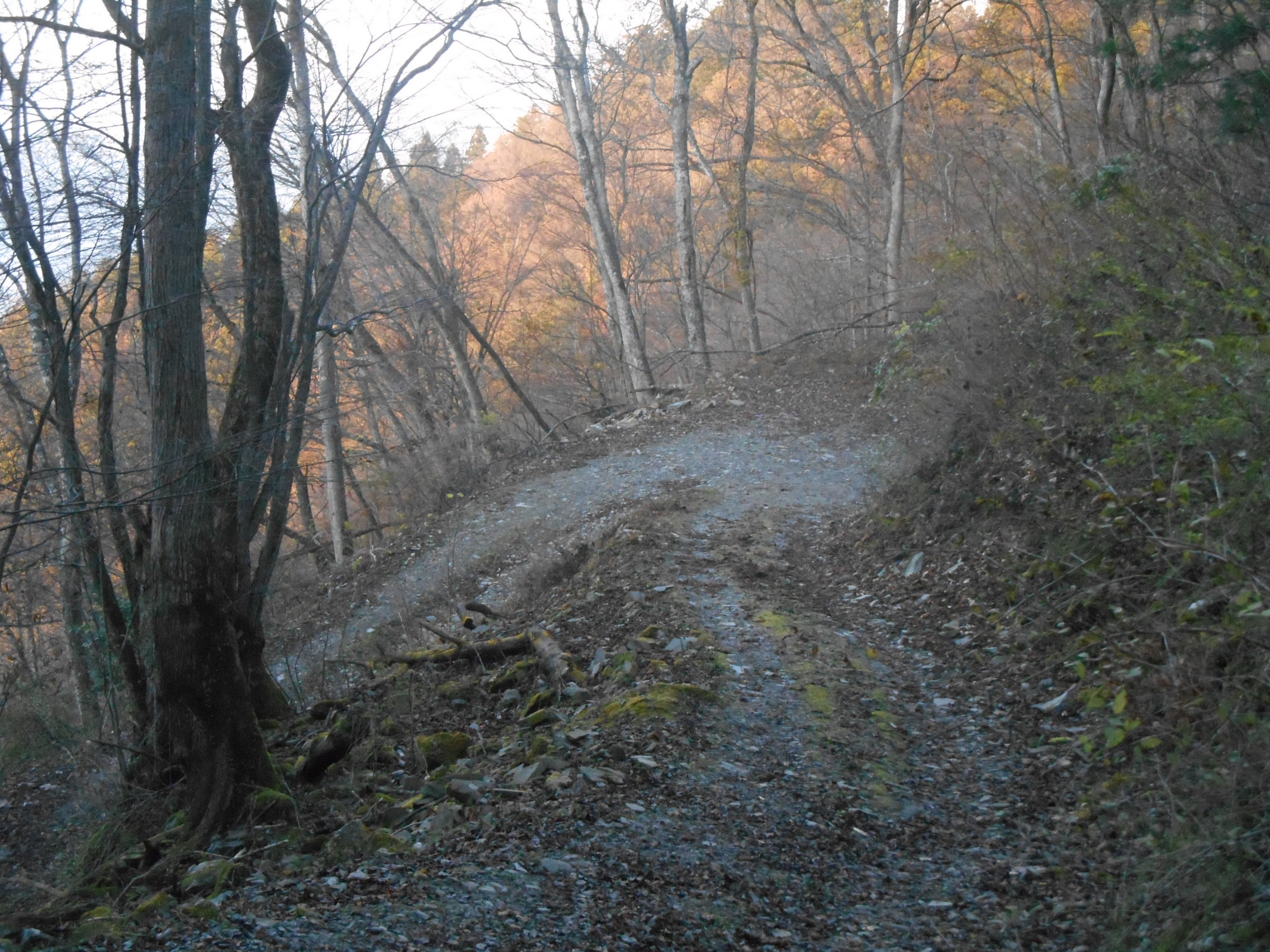 阿波忌部女神ツアー