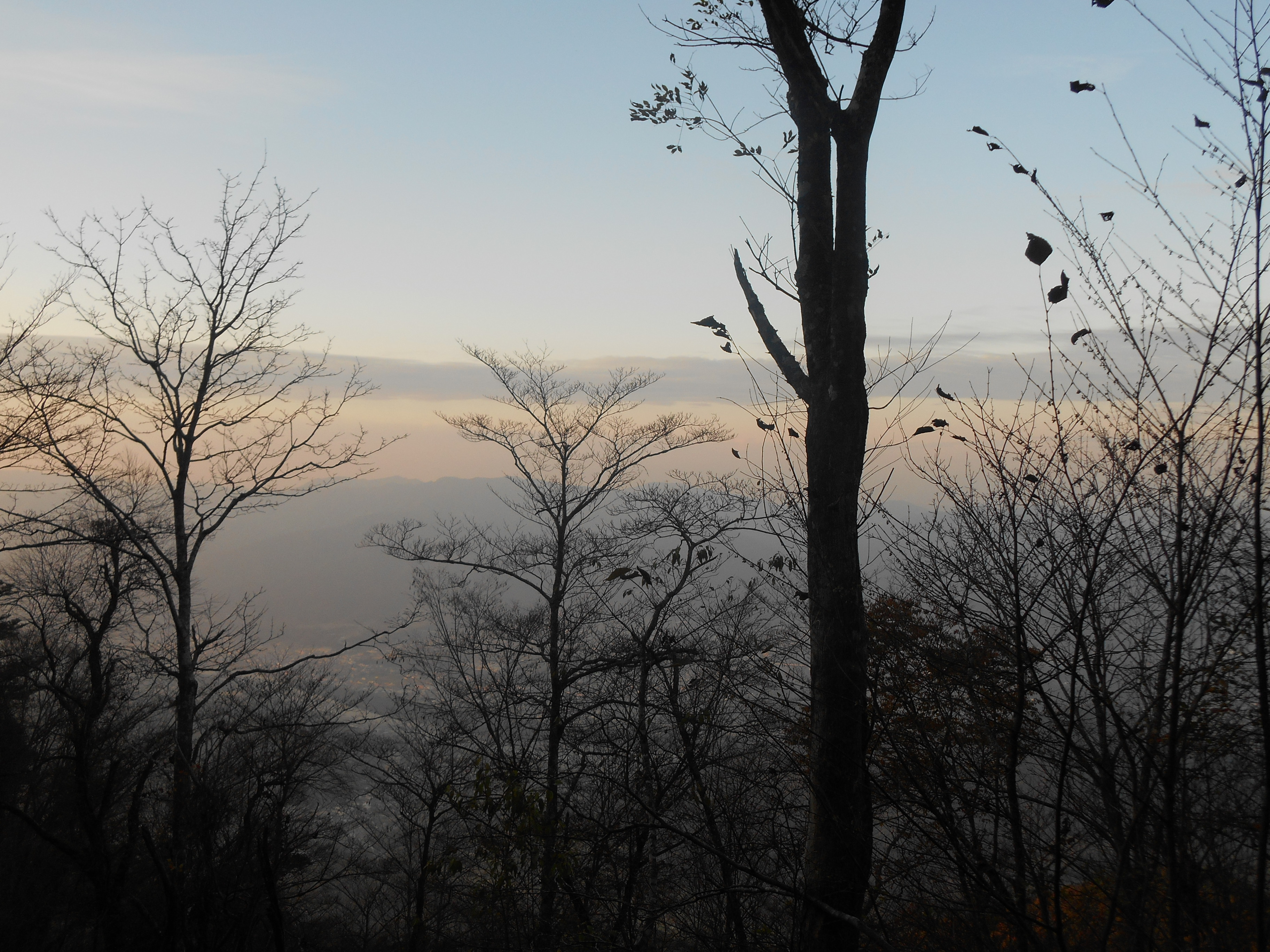 阿波忌部女神ツアー