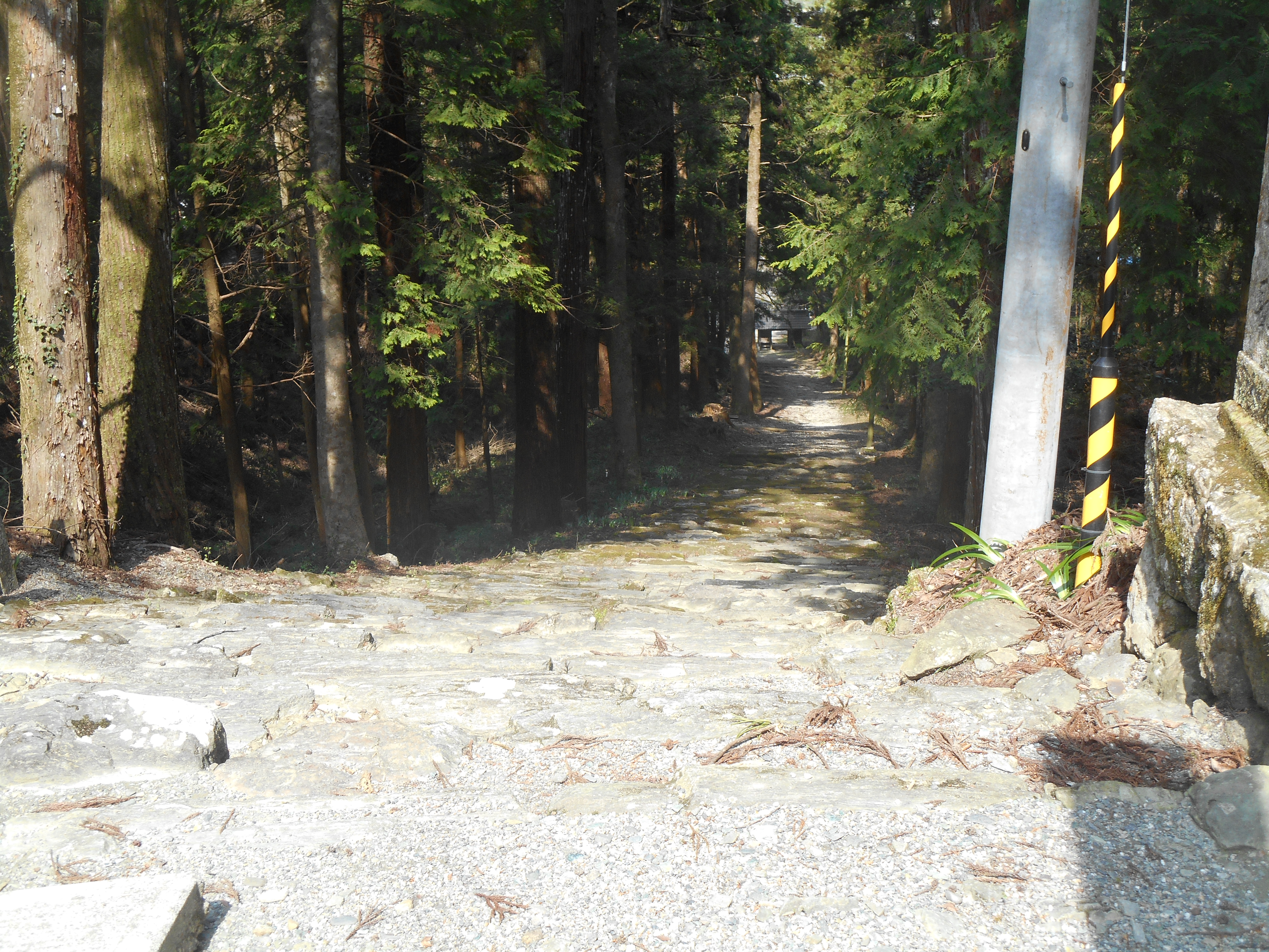 阿波忌部女神ツアー