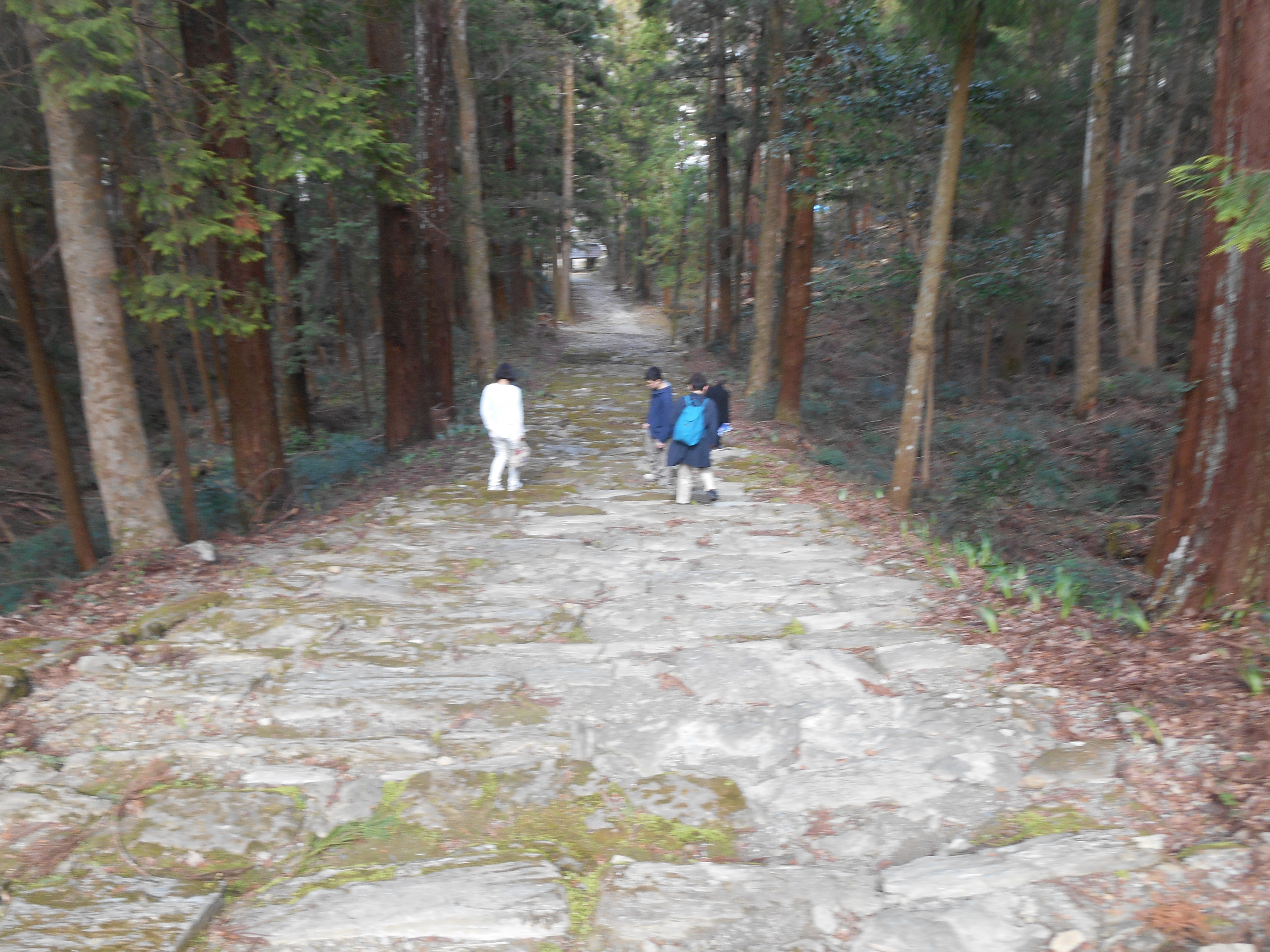 阿波忌部女神ツアー